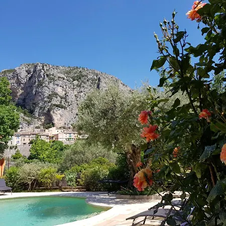 Bastide des Oliviers-3